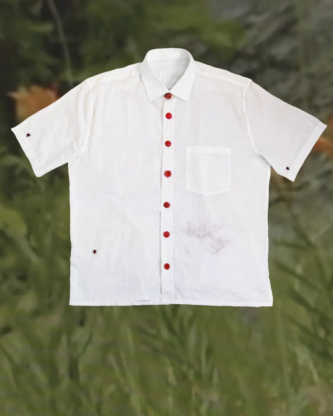 Chapter One - Dimmi di te Verde Edrev X BENNU